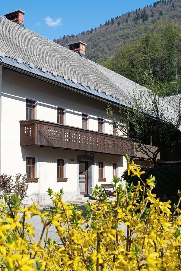 Pr'Mruzo Apartmaji Bohinj Exterior foto